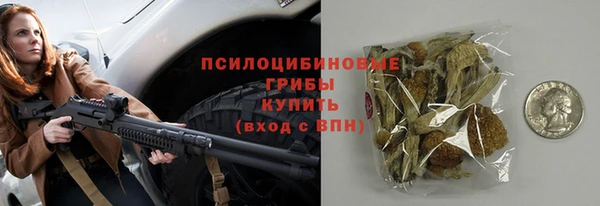 мдпв Сафоново