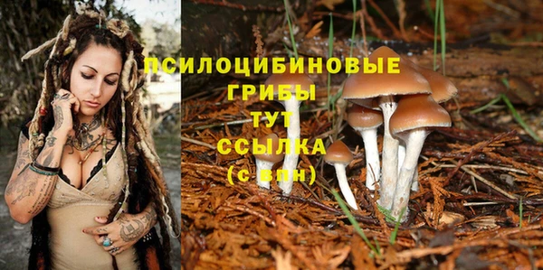 скорость Зеленокумск