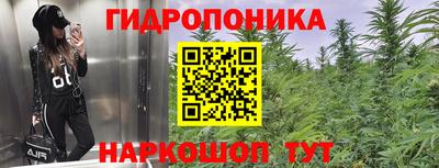 скорость Заволжье