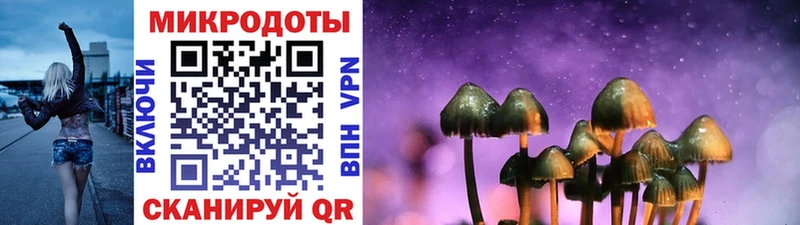 Галлюциногенные грибы Magic Shrooms  blacksprut вход  Среднеуральск 