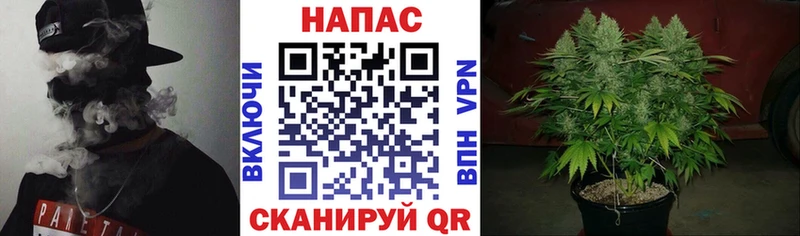продажа наркотиков omg ССЫЛКА Бошки Шишки семена Среднеуральск